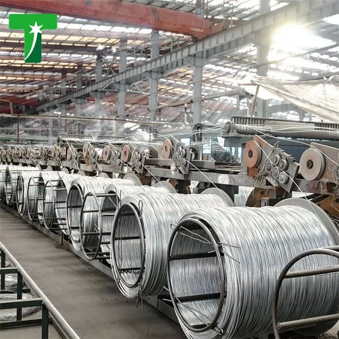 Galvanized Steel Wire Galvanized Iron Wire